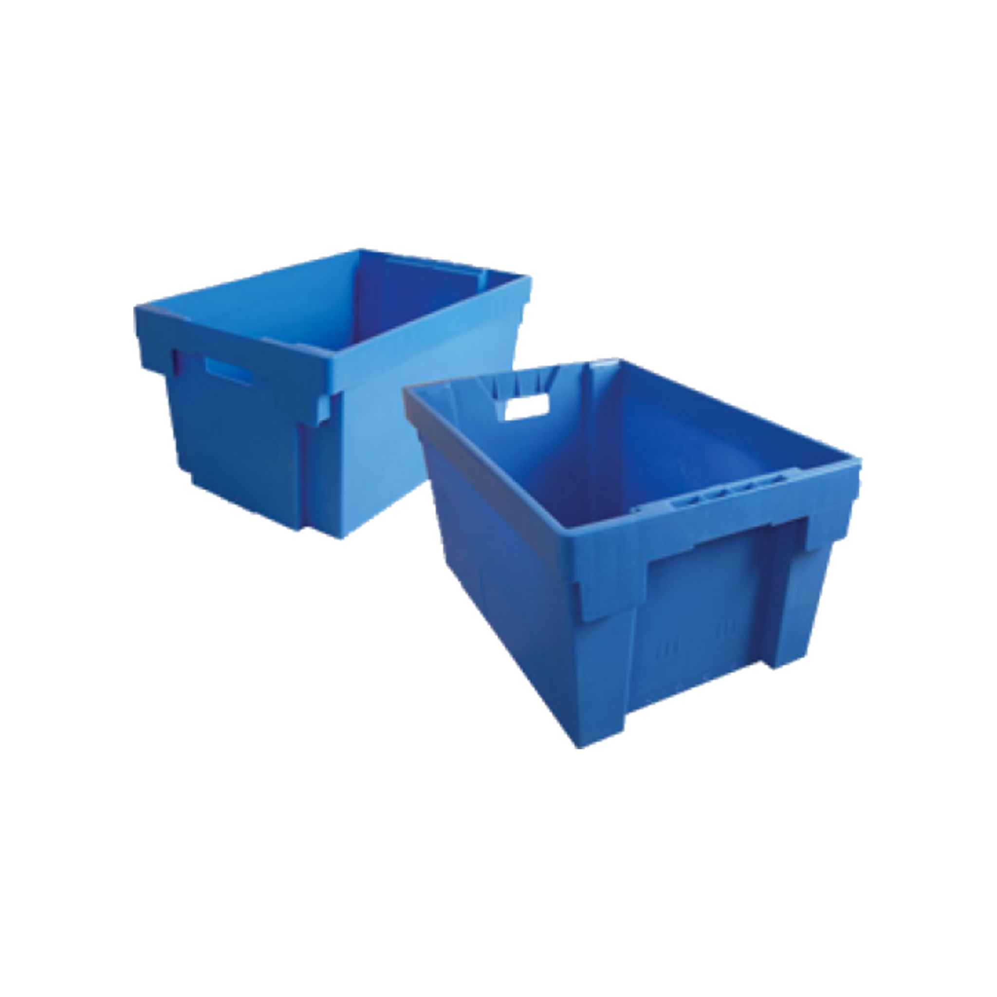 tsn56blue- pack of 5